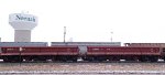 CN 56543